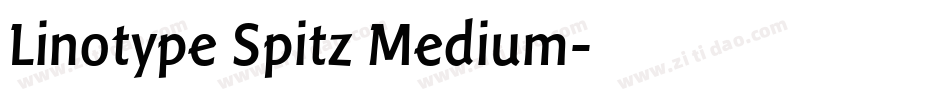 Linotype Spitz Medium字体转换